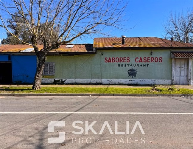 SITIO EN VENTA PURÉN CON ROSAS - IDEAL PROYECTO INMOILIARIO - Imagen 10