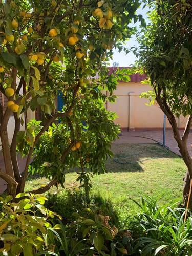 Los Andes – Arriendo Oficinas 4 privados – Cerca Plaza