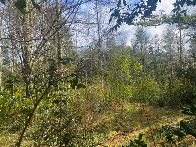 Se vende terreno a 15 kms de  Licán Ray - Imagen 3
