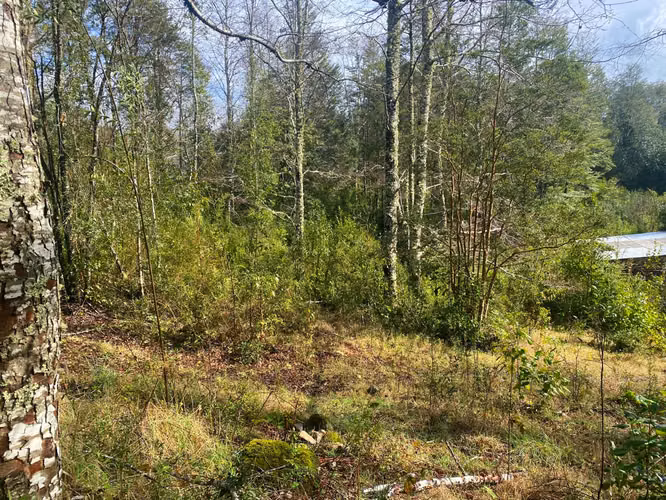 Se vende terreno a 15 kms de  Licán Ray - Imagen 2