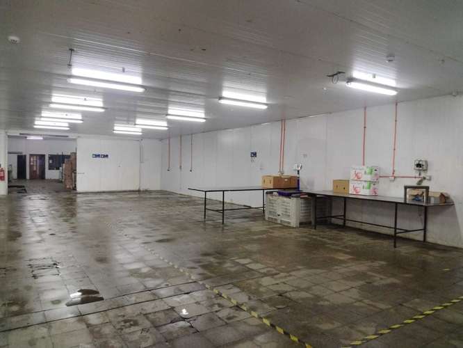 Terreno Industrial 12.000 m² – Camino Malloa, Ru (181794)