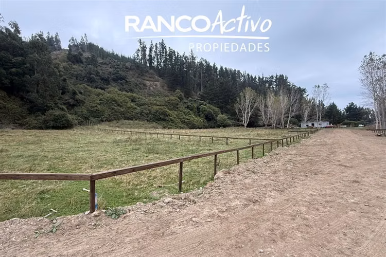 Parcelas en venta a metros de la playa en Arauco - Imagen 31