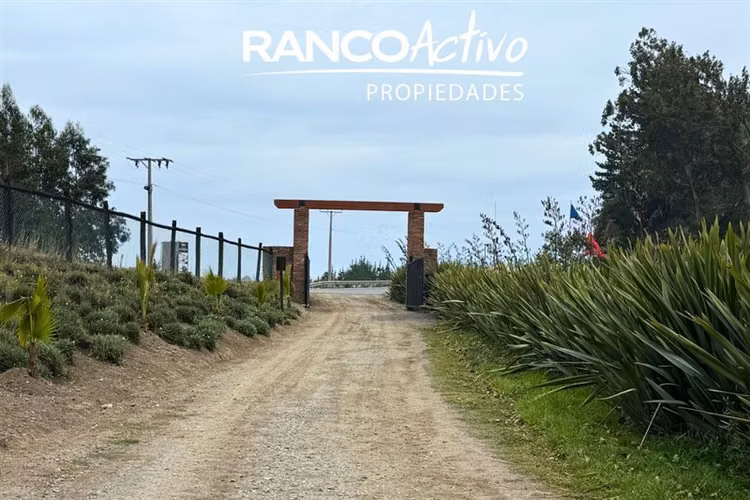 Parcelas en venta a metros de la playa en Arauco - Imagen 11