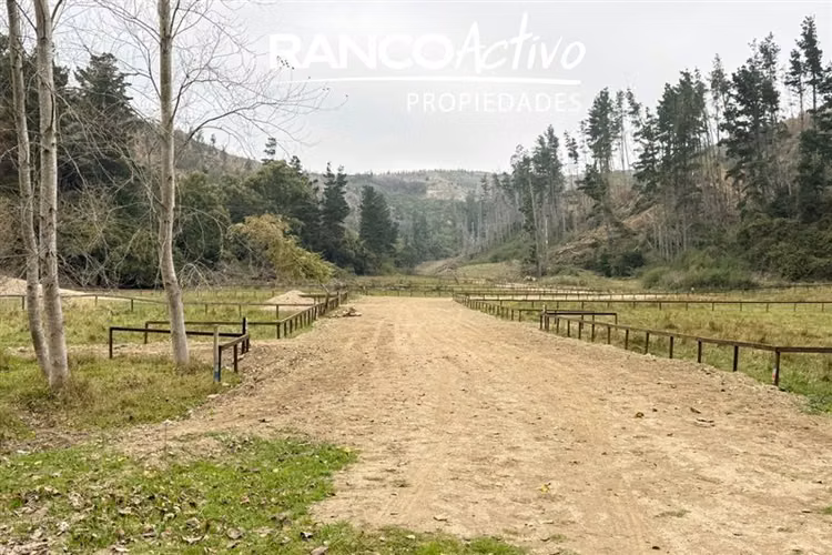 Parcelas en venta a metros de la playa en Arauco - Imagen 44
