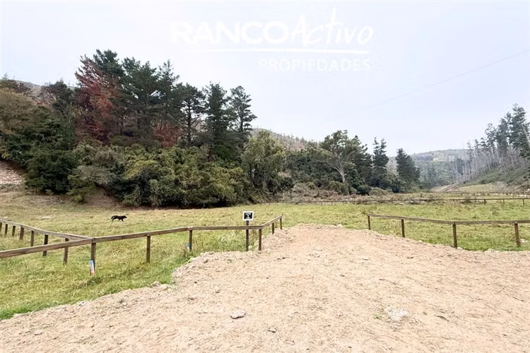 Parcelas en venta a metros de la playa en Arauco - Imagen 37
