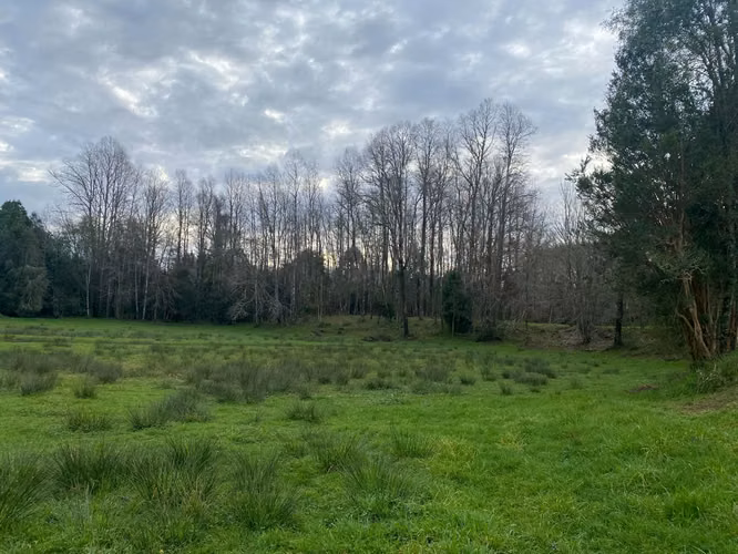 Exclusivos terrrenos planos en Mafil