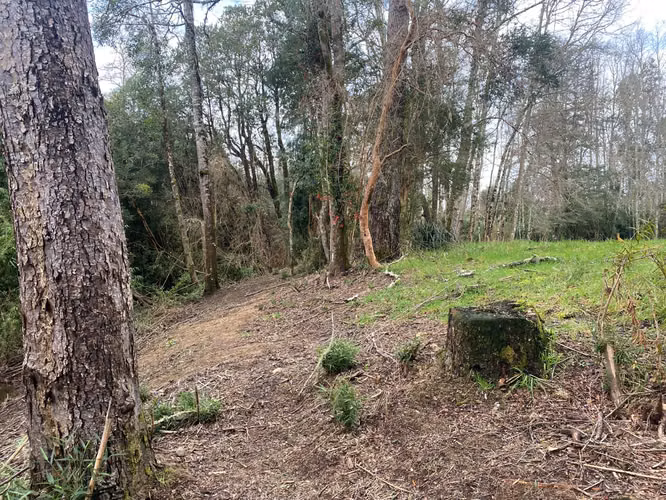 Exclusivos terrrenos planos en Mafil