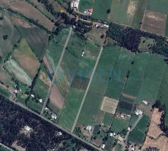 4 lotes en Linares. (181824)