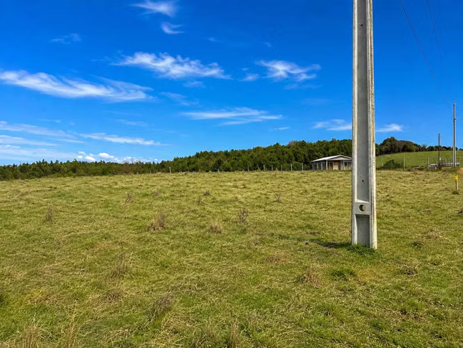 Parcela 5.000 m² Los Muermos $18 Millones (181832)