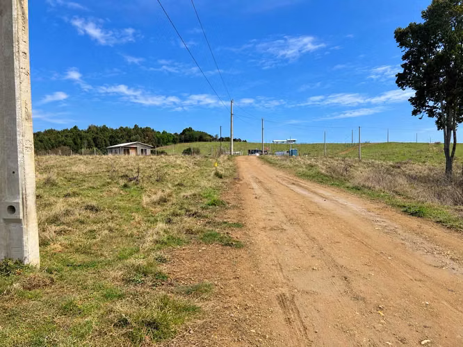 Parcela 5.000 m² Los Muermos $18 Millones (181832)
