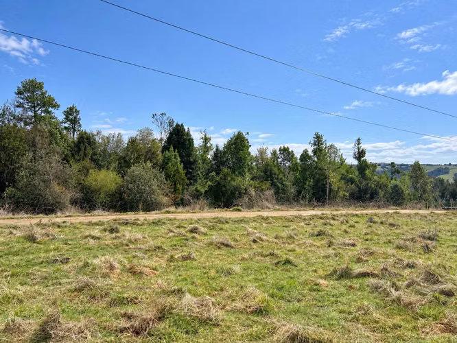 Parcela 5.000 m² Los Muermos $18 Millones (181832)