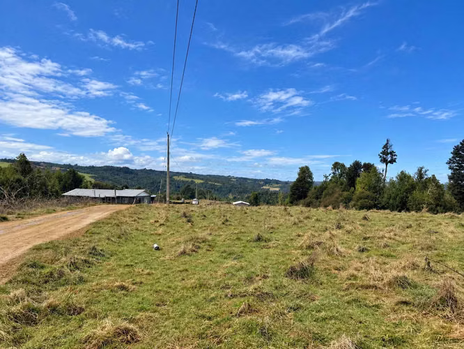 Parcela 5.000 m² Los Muermos $18 Millones (181832)
