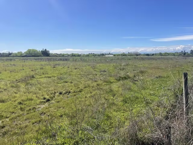 VENDE  PARCELAS DE AGRADO 5000 M2, MAULE