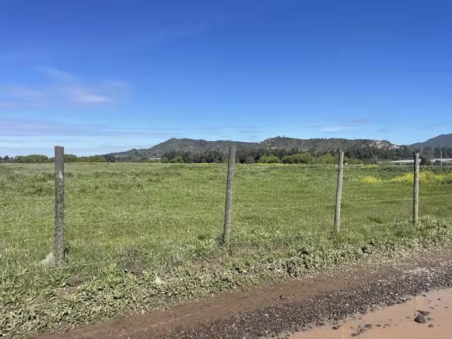 VENDE  PARCELAS DE AGRADO 5000 M2, MAULE