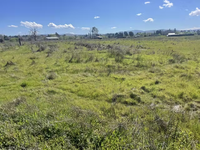 VENDE  PARCELAS DE AGRADO 5000 M2, MAULE