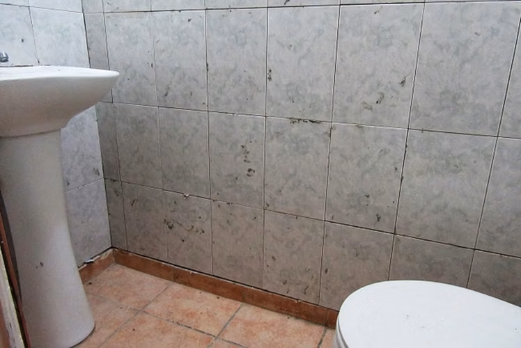 VILLA BRASILIA A   ( SECTOR MANZANAL) - Imagen 6