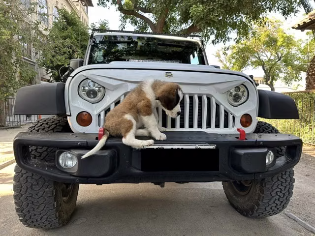 Jeep Wrangler 2,8 Diesel