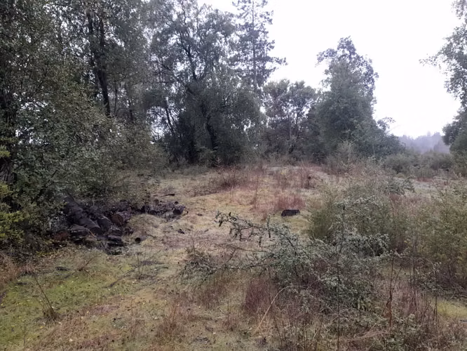 Vendo campo de 1 hectárea coma 8000 mtrs2 ,Sector Rio Claro