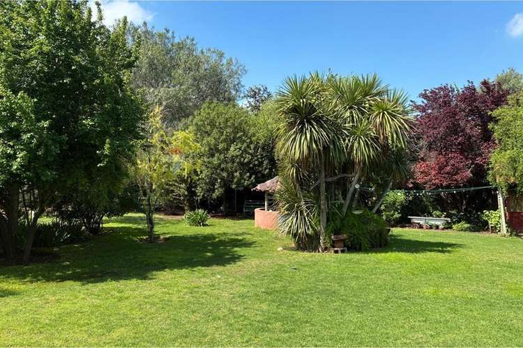 Parcela con piscina y gran terreno en chicureo - Imagen 29