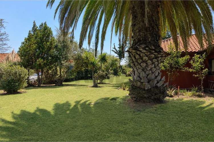 Parcela con piscina y gran terreno en chicureo - Imagen 31