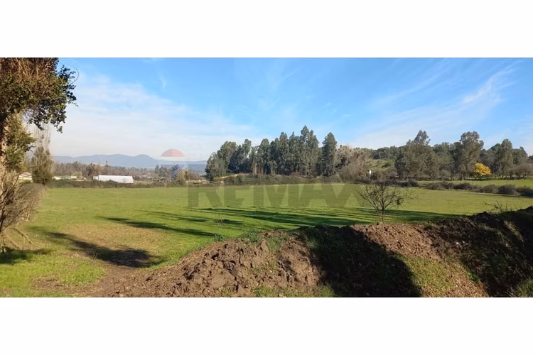 Predio en venta, las cabras (vi region) 92 hás - Imagen 5