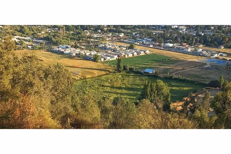 Predio en venta, las cabras (vi region) 92 hás - Imagen 3