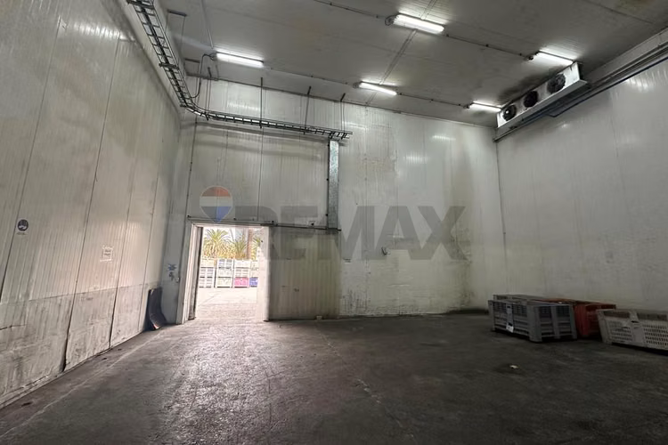 Arriendo propiedad agroindustrial curacaví