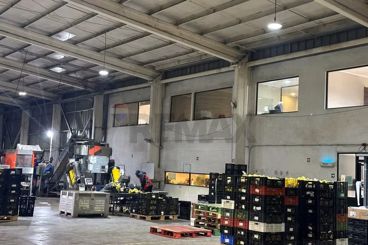 Excelente propiedad agroindustrial en curacaví - Imagen 15