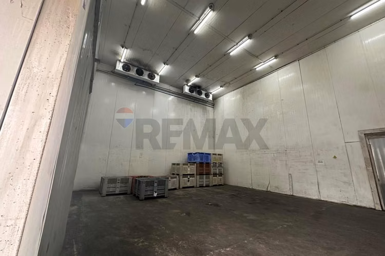 Excelente propiedad agroindustrial en curacaví - Imagen 7