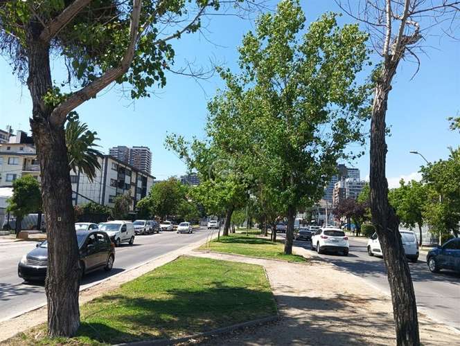 Local Comercial en Venta en Ñuñoa