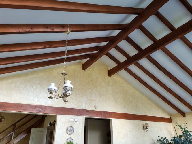 Oportunidad Parcela Condominio Los Cisnes - Imagen 4