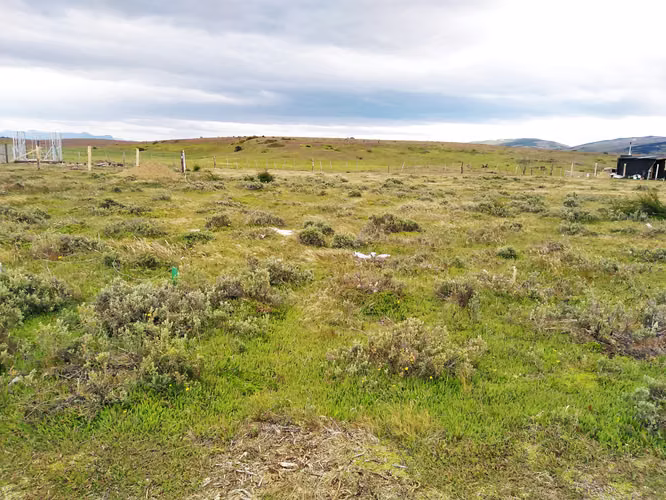 SITIO RURAL EN DOROTEA PUERTO NATALES