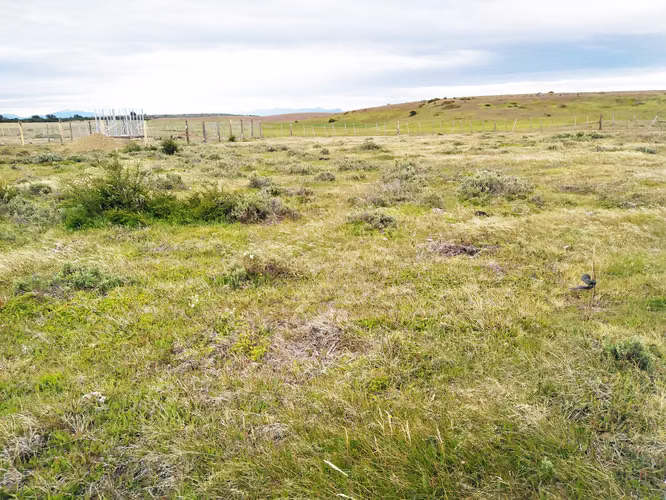 SITIO RURAL EN DOROTEA PUERTO NATALES