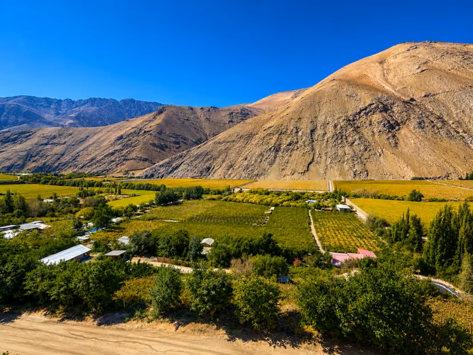 Fundo en venta – Valle de Elqui | Región de Coquimbo
