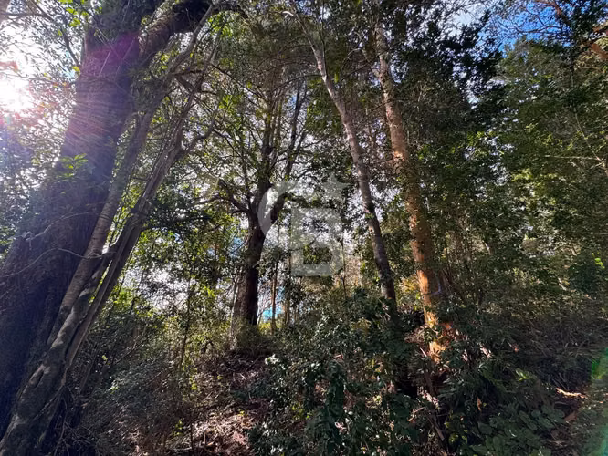 Ruta ensenada, bosque de arrayanes, buena conectividad - Imagen 23
