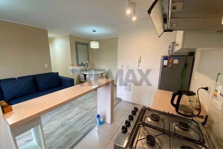 Arriendo depto amoblado 3d 1b, pucón