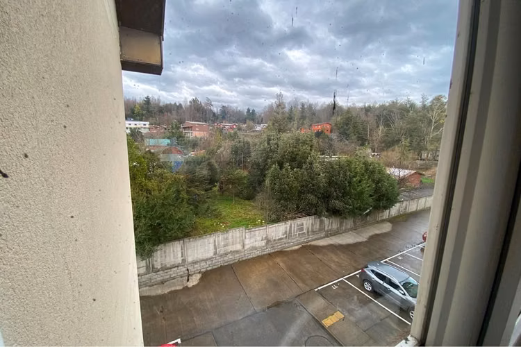 Arriendo depto amoblado 3d 1b, pucón