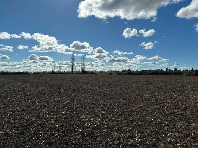 Venta Campo Sector El Peral (181969) - Imagen 20