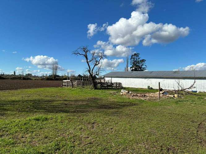 Venta Campo Sector El Peral (181969) - Imagen 15