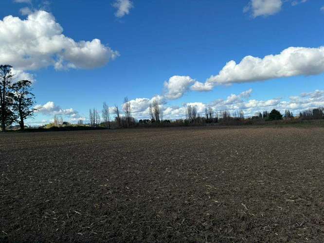 Venta Campo Sector El Peral (181969) - Imagen 8
