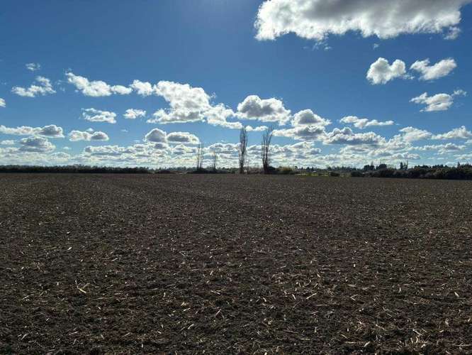 Venta Campo Sector El Peral (181969) - Imagen 24