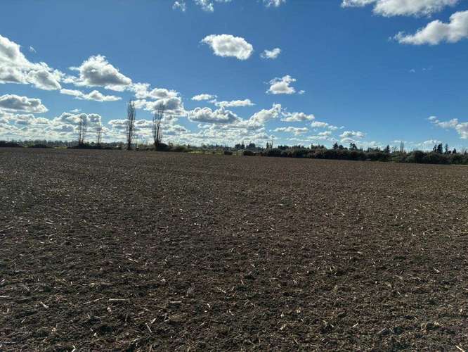 Venta Campo Sector El Peral (181969) - Imagen 26