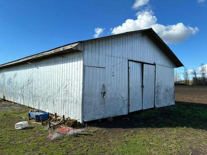 Venta Campo Sector El Peral (181969) - Imagen 10