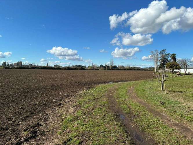 Venta Campo Sector El Peral (181969) - Imagen 14