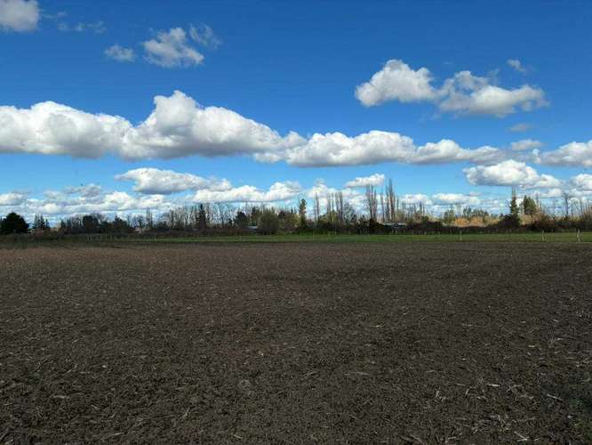 Venta Campo Sector El Peral (181969) - Imagen 5