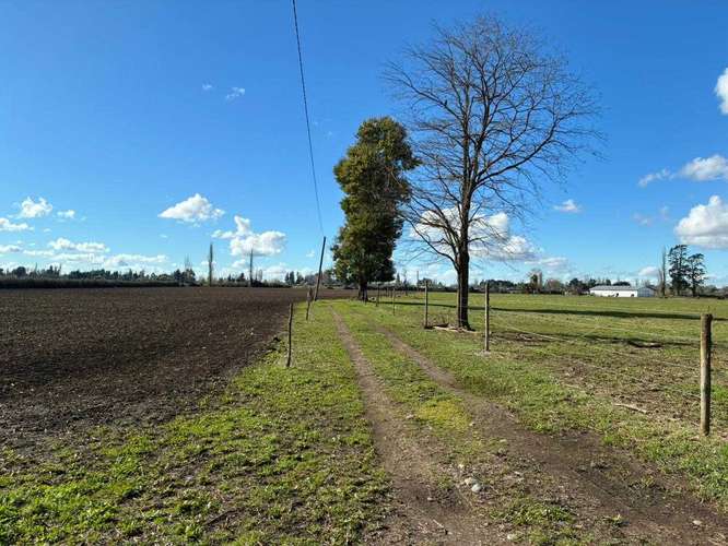 Venta Campo Sector El Peral (181969) - Imagen 6