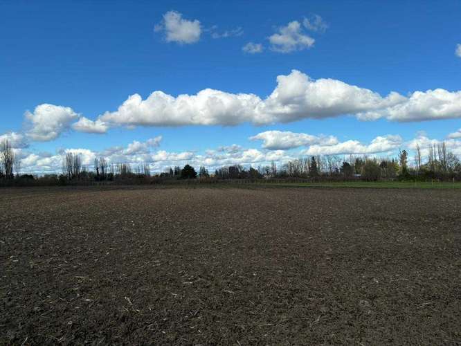 Venta Campo Sector El Peral (181969) - Imagen 3