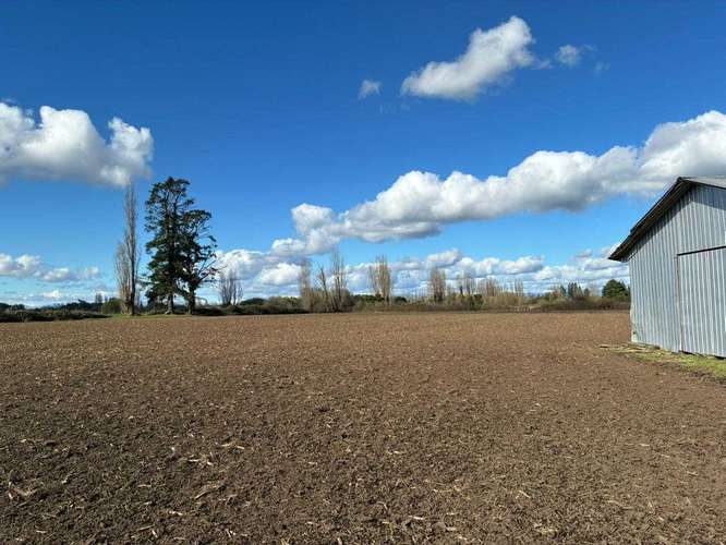 Venta Campo Sector El Peral (181969) - Imagen 16