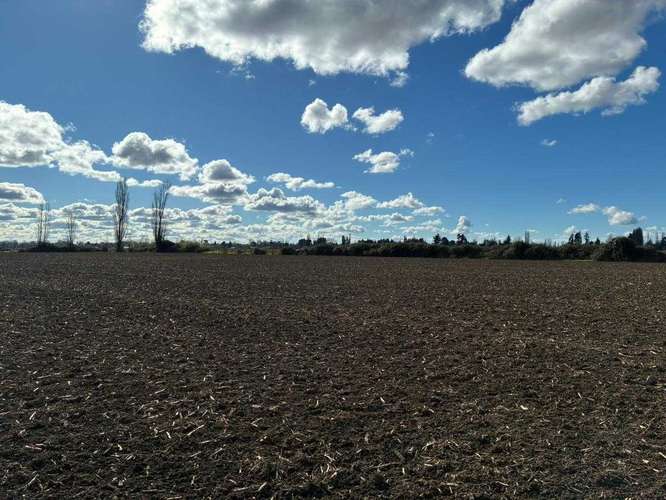 Venta Campo Sector El Peral (181969) - Imagen 13
