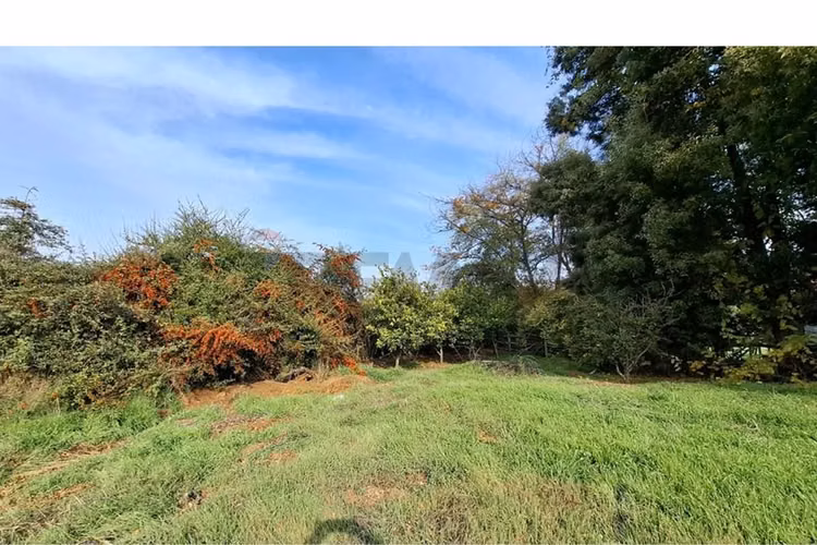 Venta de parcela 7.000 m², camino a palmilla..